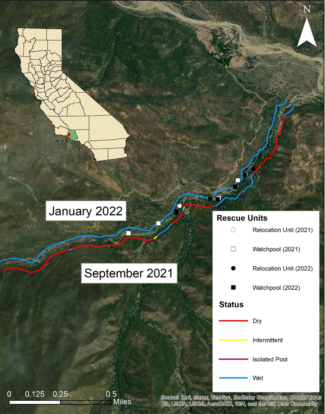 map showing dry, wet and intermittent stretches along a creek in Ventura County, California